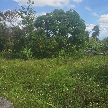 Sixteenth image of Mount Pleasant, Hampton in Malvern, St. Elizabeth, Jamaica - property is For Sale