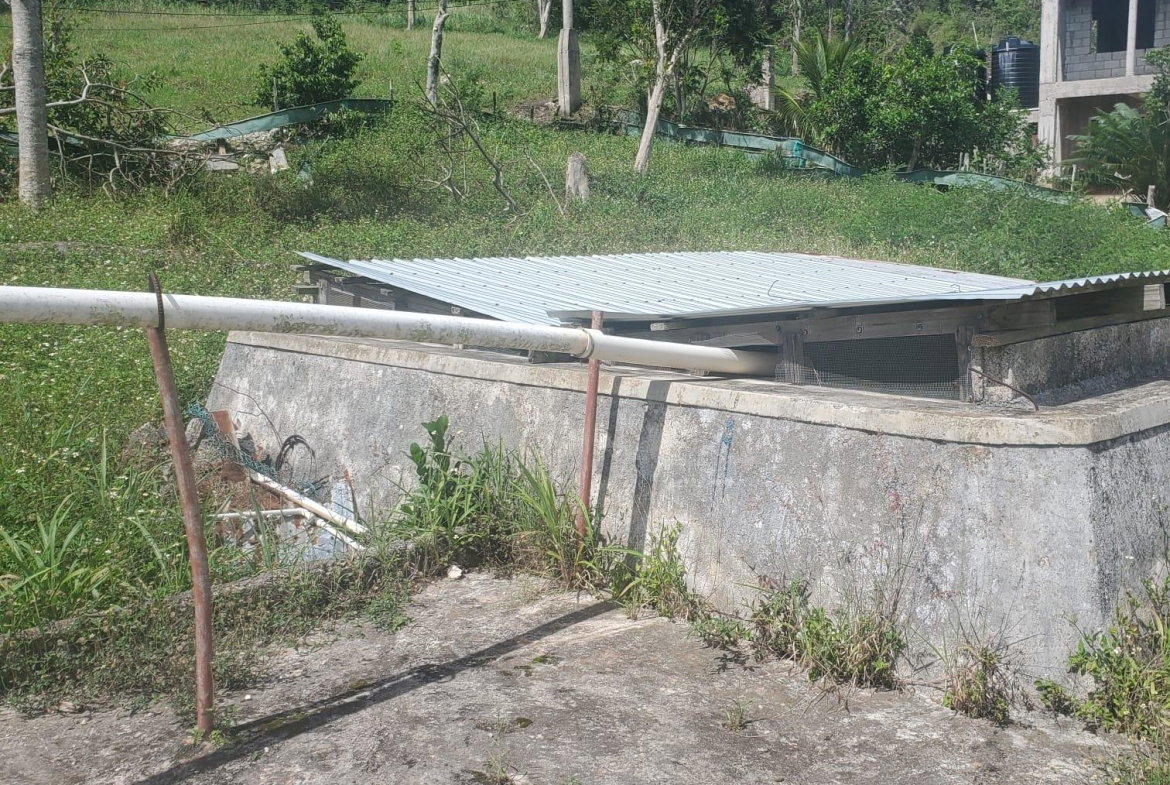 Twenty-First image of Mount Pleasant, Hampton in Malvern, St. Elizabeth, Jamaica - property is For Sale