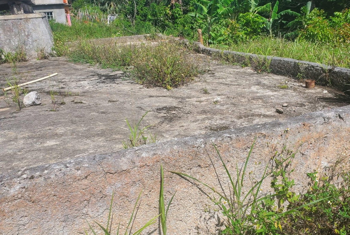 Twenty-Third image of Mount Pleasant, Hampton in Malvern, St. Elizabeth, Jamaica - property is For Sale