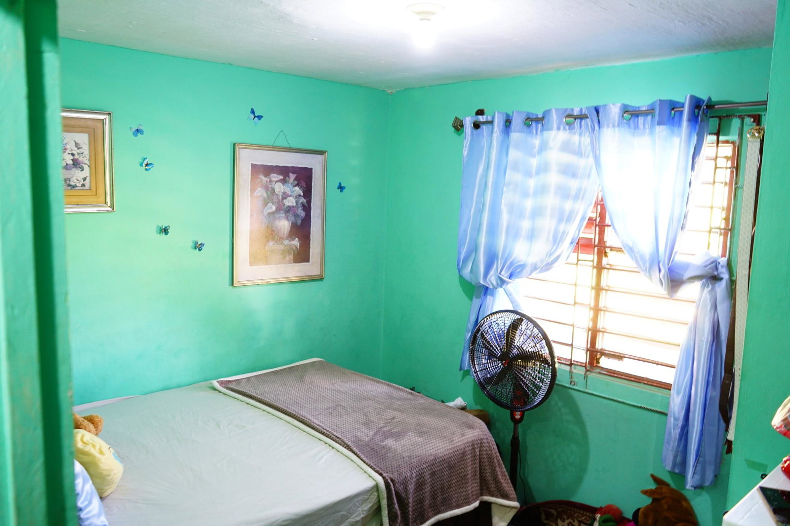 Fourteenth image of Beadle Boulevard in Santa Cruz, St. Elizabeth, Jamaica - property is For Sale