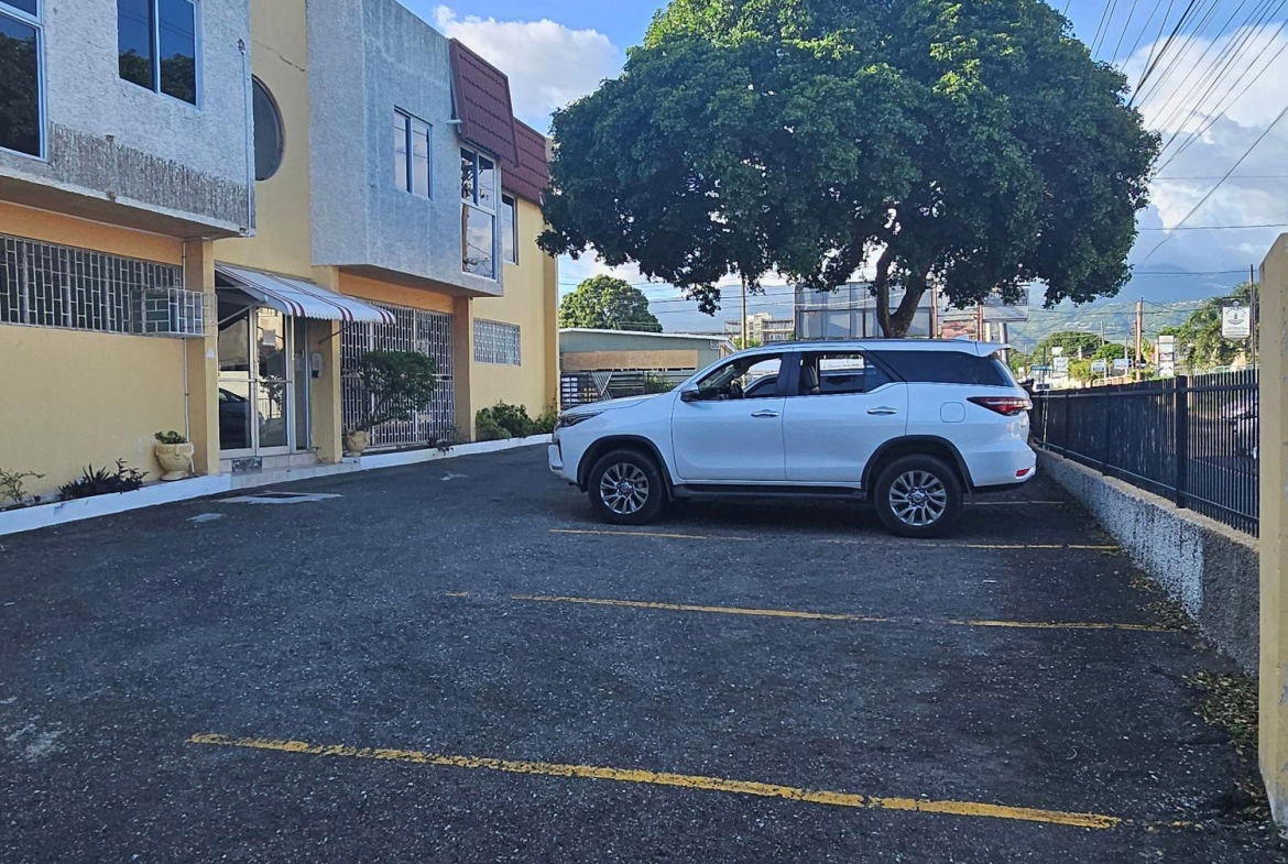 Third image of 8- Lady Musgrave Road, Kgn 5 in Kingston 5, St. Andrew, Jamaica - property is For Rent