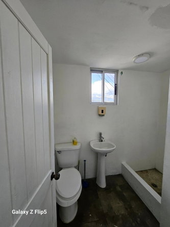 Ninth image of 8- Lady Musgrave Road, Kgn 5 in Kingston 5, St. Andrew, Jamaica - property is For Rent