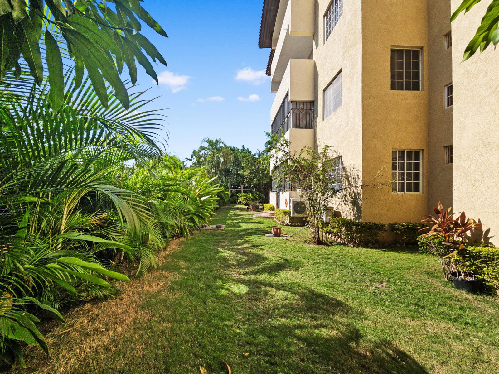 Twenty-First image of 3-17 Braemar Avenue in Kingston 5, St. Andrew, Jamaica - property is For Sale