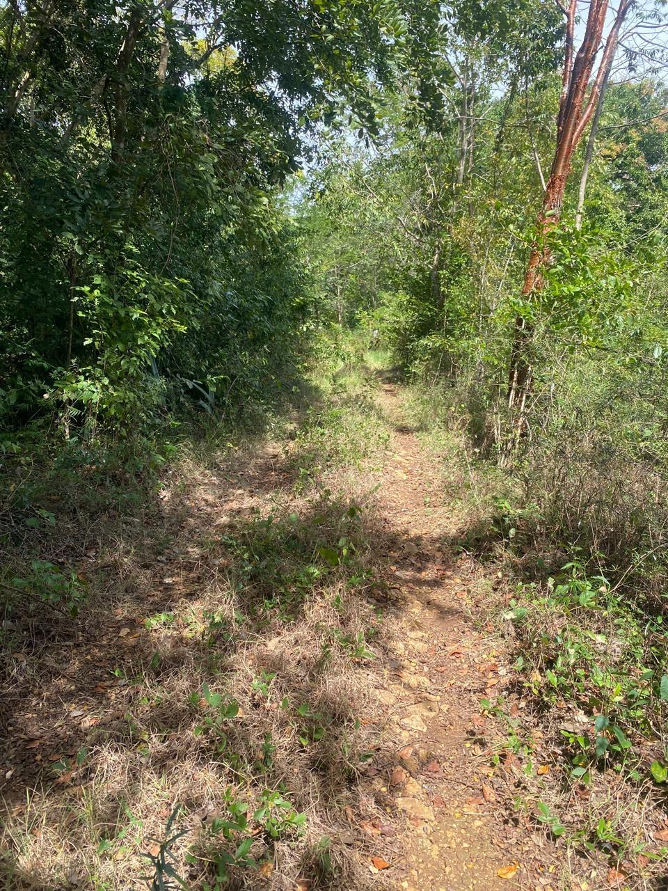 Second image of John Dandy, Four Paths, c in Four Paths, Clarendon, Jamaica - property is For Sale