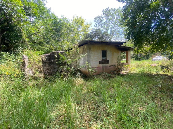 Fifth image of John Dandy, Four Paths, c in Four Paths, Clarendon, Jamaica - property is For Sale