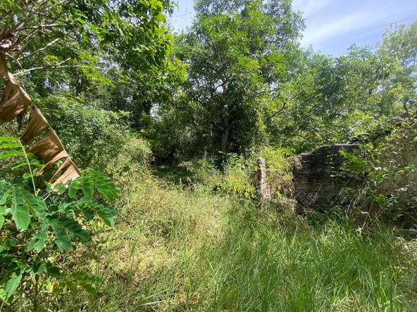 Sixth image of John Dandy, Four Paths, c in Four Paths, Clarendon, Jamaica - property is For Sale