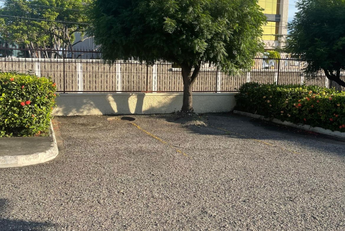 Seventh image of 1-7 Oxford Park Avenue in NEW KINGSTON, St. Andrew, Jamaica - property is For Rent