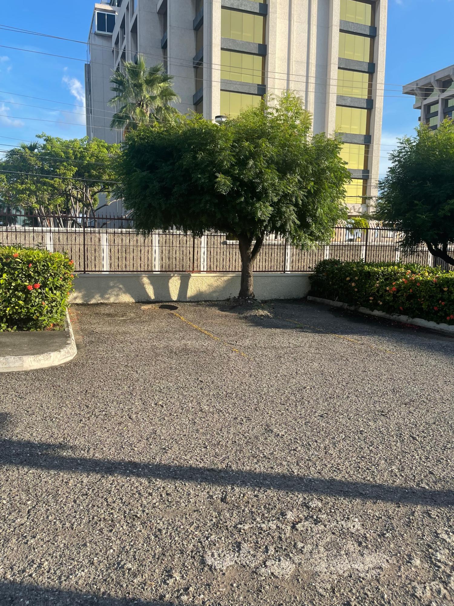 Seventh image of 1-7 Oxford Park Avenue in NEW KINGSTON, St. Andrew, Jamaica - property is For Rent