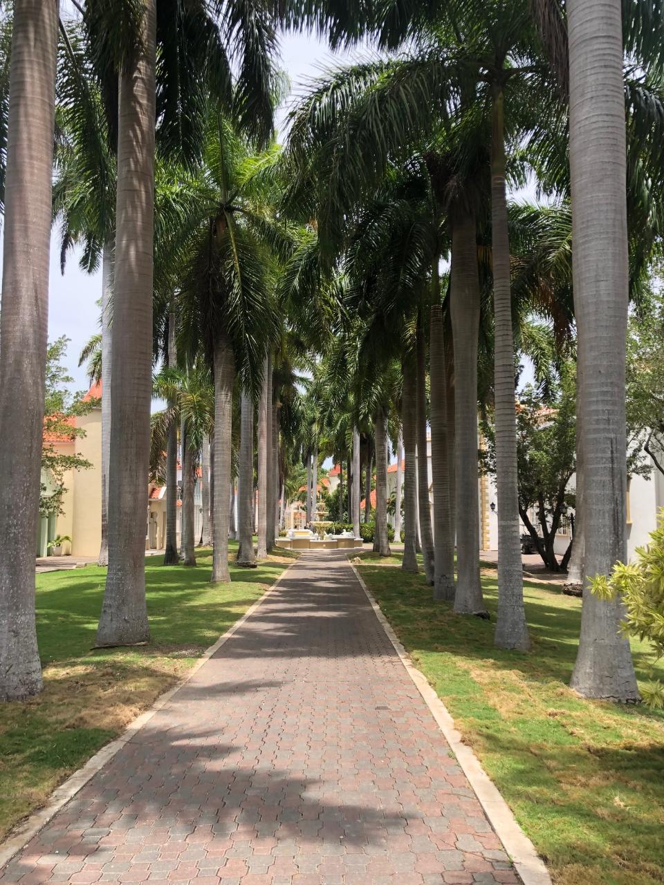 Fifth image of 2- Half Moon Village, Rose h in Montego Bay, St. James, Jamaica - property is For Rent
