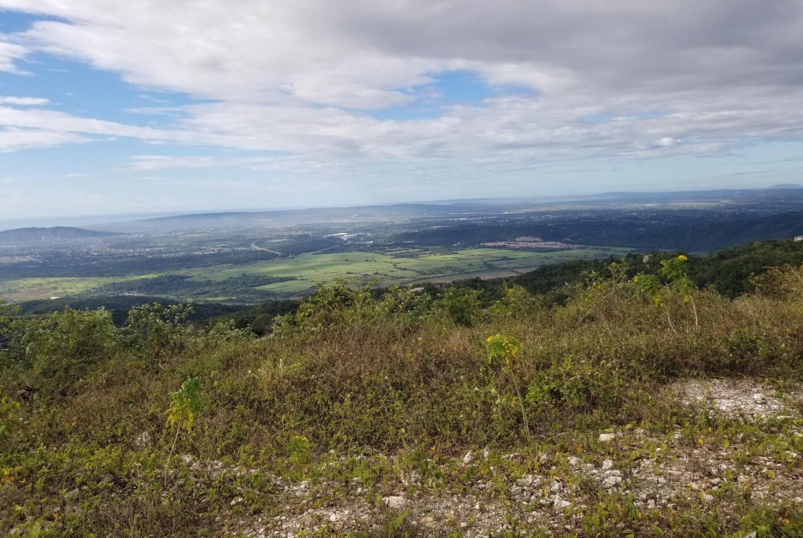 Ninth image of Lot 42 Chanteclaire Avenue in Red Hills, St. Andrew, Jamaica - property is For Sale