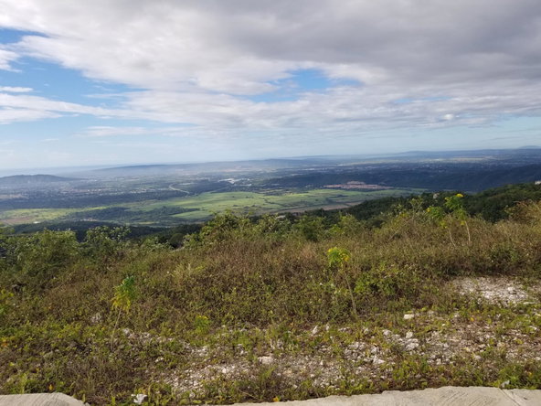 Ninth image of Lot 42 Chanteclaire Avenue in Red Hills, St. Andrew, Jamaica - property is For Sale