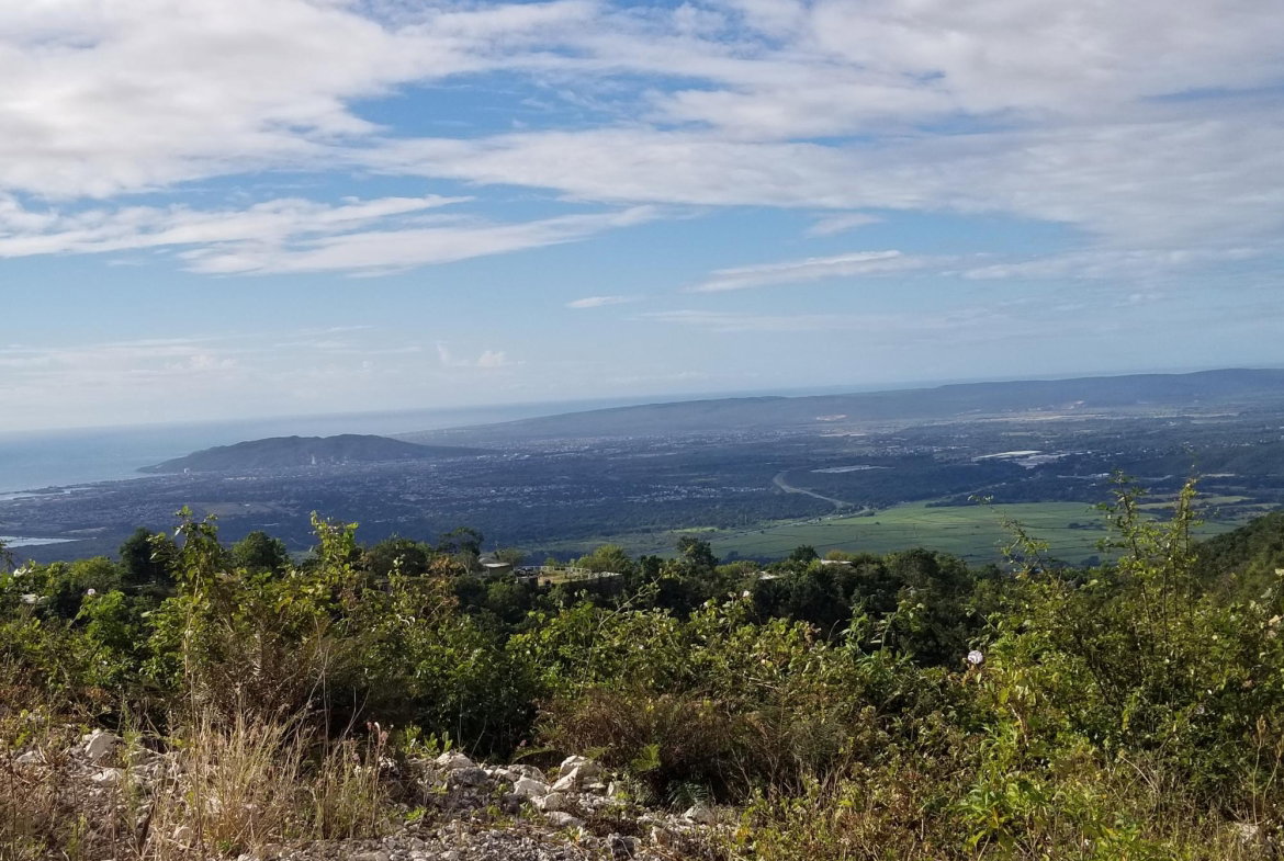 Tenth image of Lot 42 Chanteclaire Avenue in Red Hills, St. Andrew, Jamaica - property is For Sale