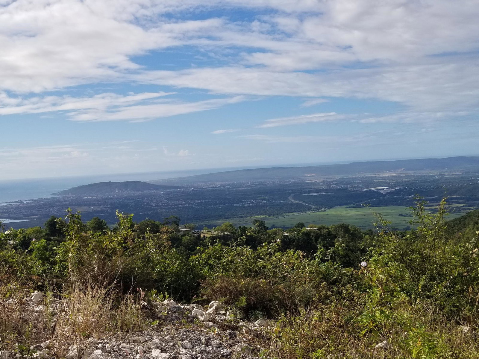 Tenth image of Lot 42 Chanteclaire Avenue in Red Hills, St. Andrew, Jamaica - property is For Sale
