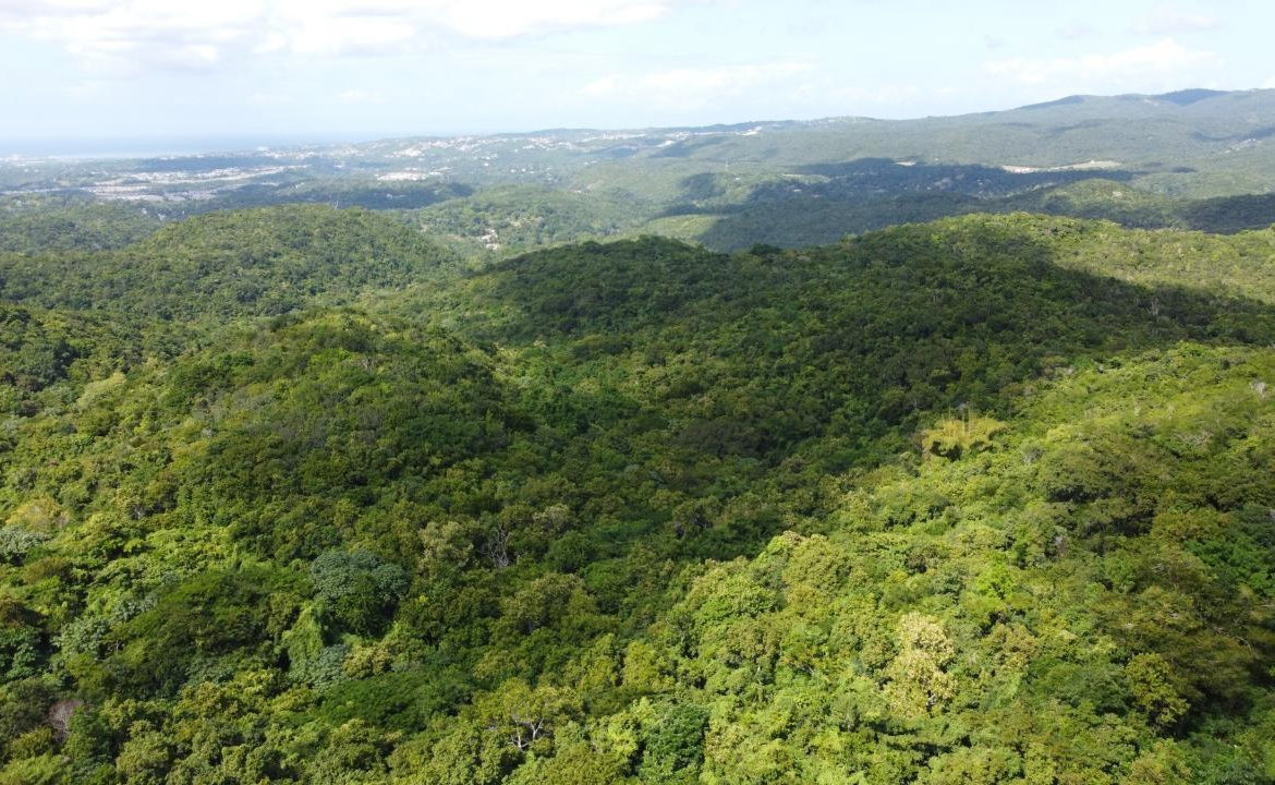 First image of Orange River, Montego Bay in Montego Bay, St. James, Jamaica - property is For Sale