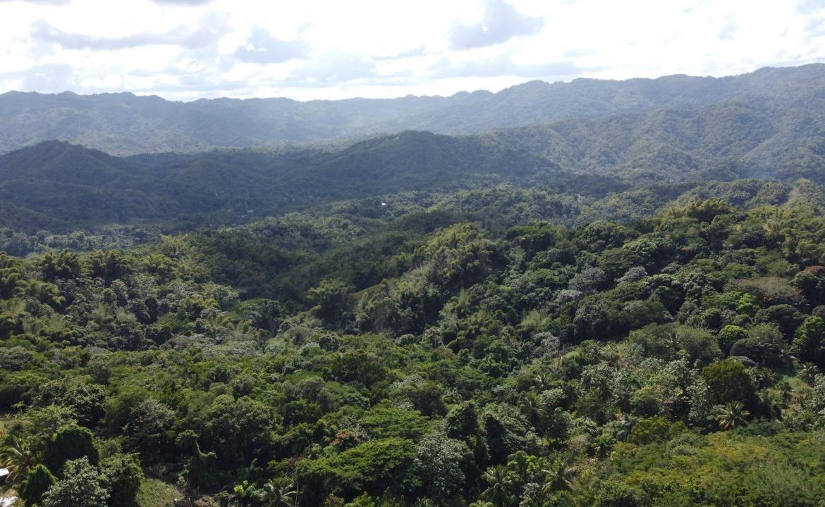 Seventeenth image of Orange River, Montego Bay in Montego Bay, St. James, Jamaica - property is For Sale