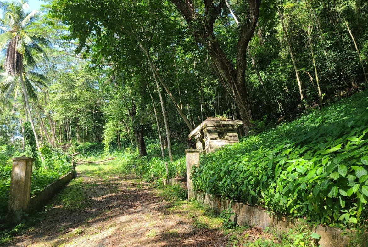 Ninth image of Orange River, Montego Bay in Montego Bay, St. James, Jamaica - property is For Sale