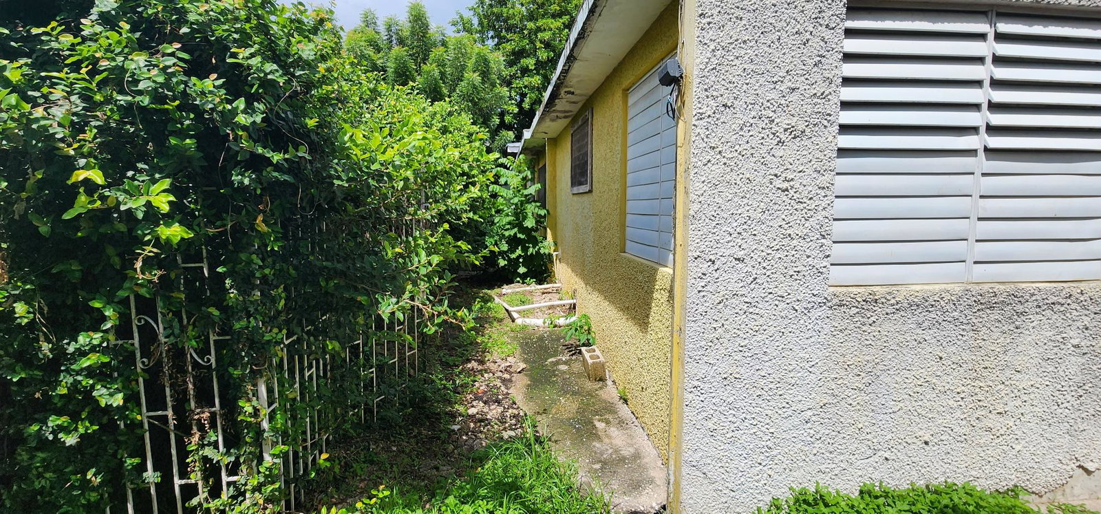 Nineteenth image of 51 Keeble Crescent in Kingston 6, St. Andrew, Jamaica - property is For Sale