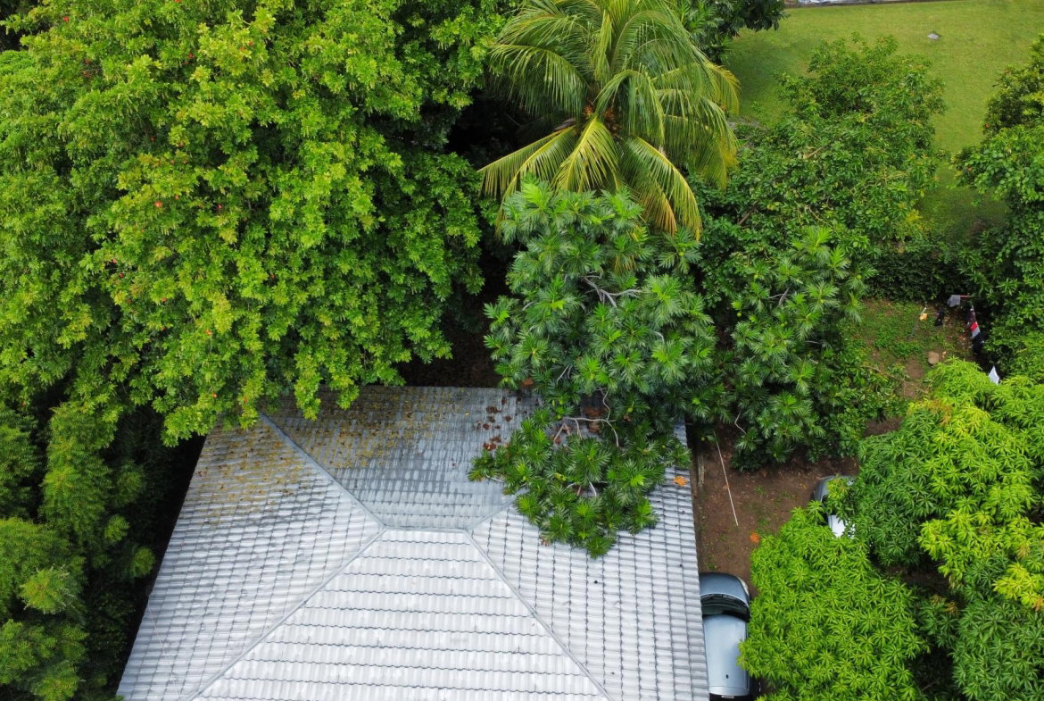 Seventh image of 51 Keeble Crescent in Kingston 6, St. Andrew, Jamaica - property is For Sale