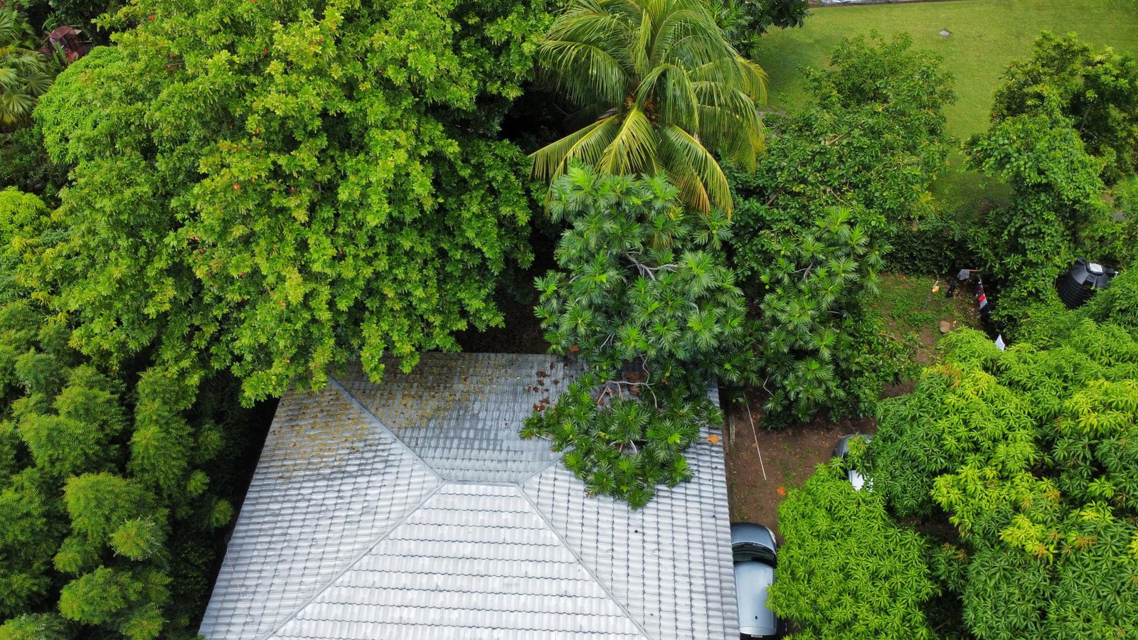 Seventh image of 51 Keeble Crescent in Kingston 6, St. Andrew, Jamaica - property is For Sale