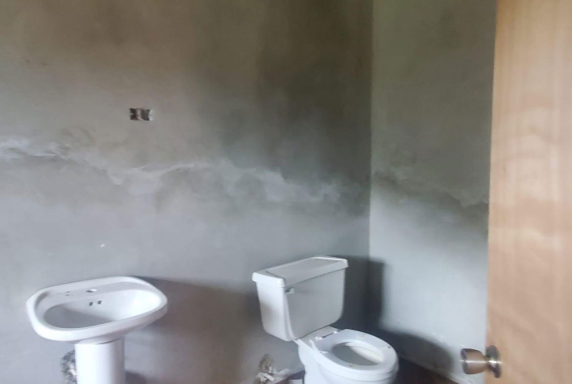 Twenty-Ninth image of Church Street in Knockpatrick, Manchester, Jamaica - property is For Sale