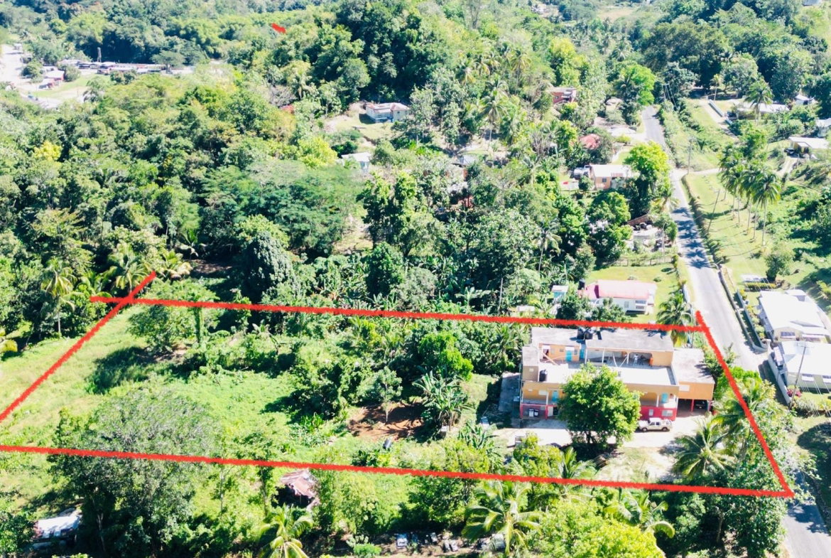 First image of Cameron Hill, Maggotty, s in Black River, St. Elizabeth, Jamaica - property is For Sale