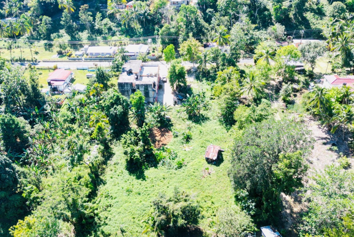 Fourteenth image of Cameron Hill, Maggotty, s in Black River, St. Elizabeth, Jamaica - property is For Sale