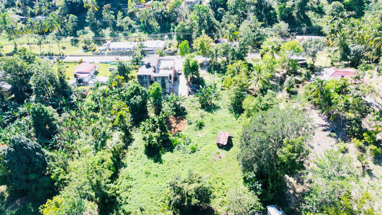 Fourteenth image of Cameron Hill, Maggotty, s in Black River, St. Elizabeth, Jamaica - property is For Sale
