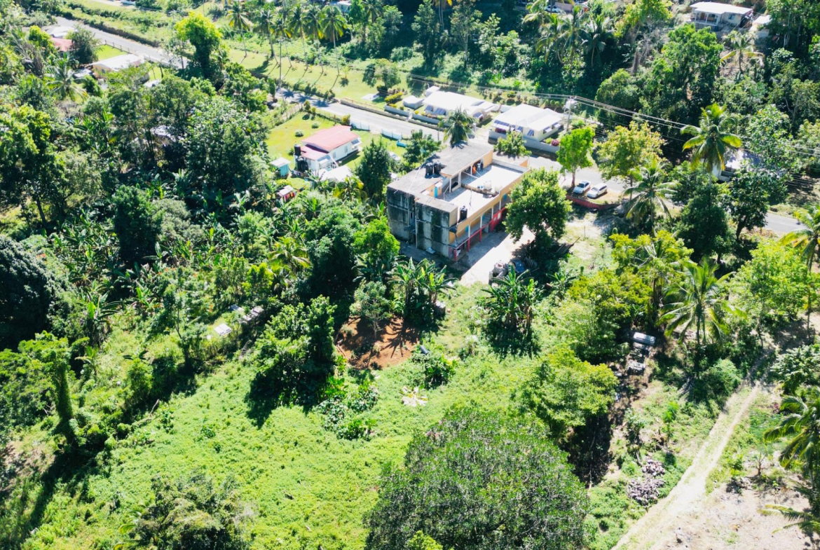 Fifteenth image of Cameron Hill, Maggotty, s in Black River, St. Elizabeth, Jamaica - property is For Sale