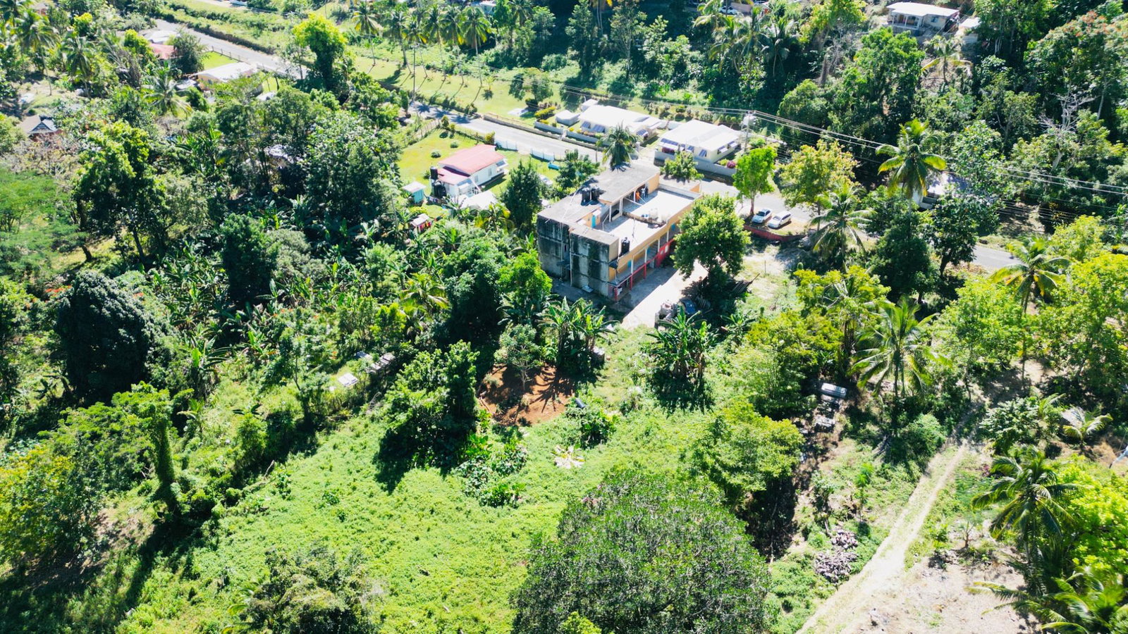 Fifteenth image of Cameron Hill, Maggotty, s in Black River, St. Elizabeth, Jamaica - property is For Sale