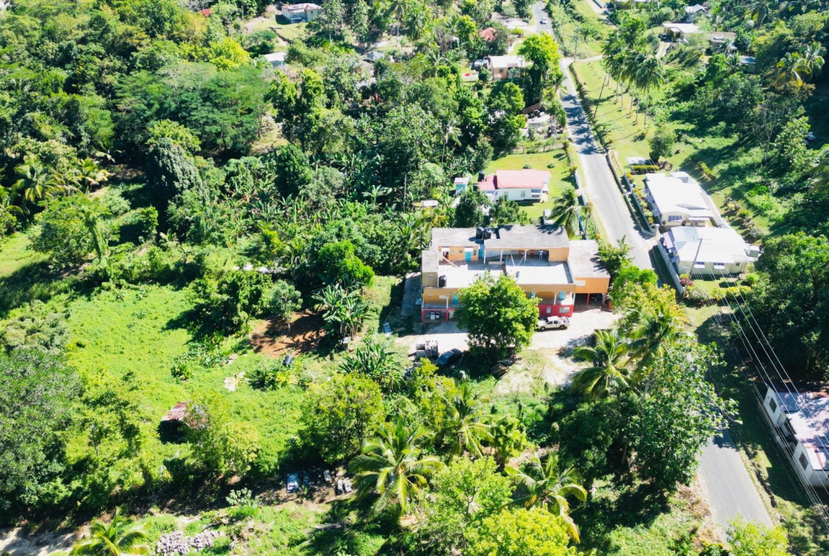 Sixteenth image of Cameron Hill, Maggotty, s in Black River, St. Elizabeth, Jamaica - property is For Sale