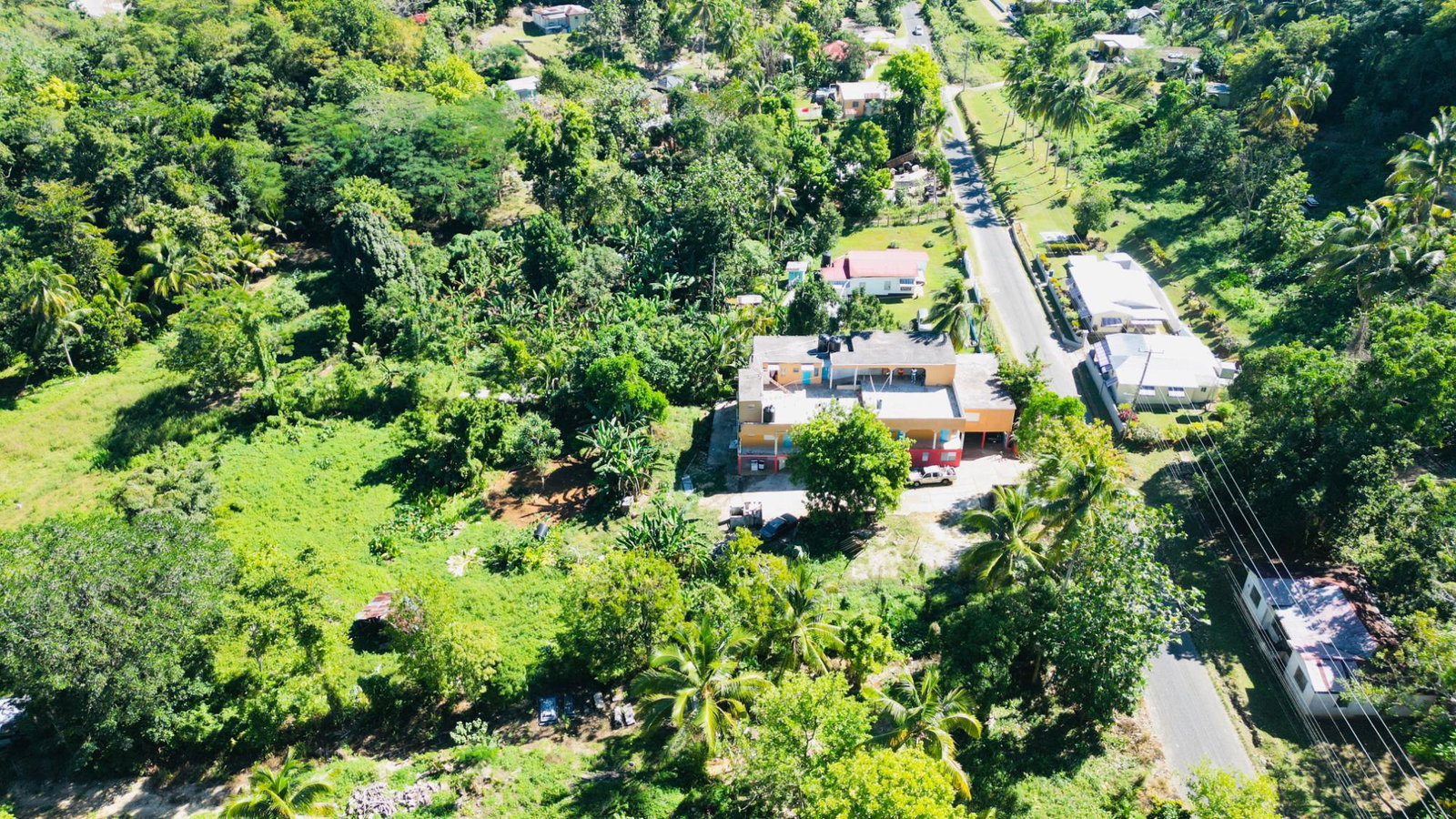 Sixteenth image of Cameron Hill, Maggotty, s in Black River, St. Elizabeth, Jamaica - property is For Sale