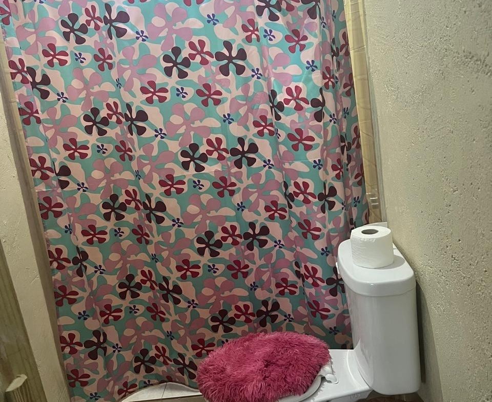 Sixth image of Cameron Hill, Maggotty, s in Black River, St. Elizabeth, Jamaica - property is For Sale