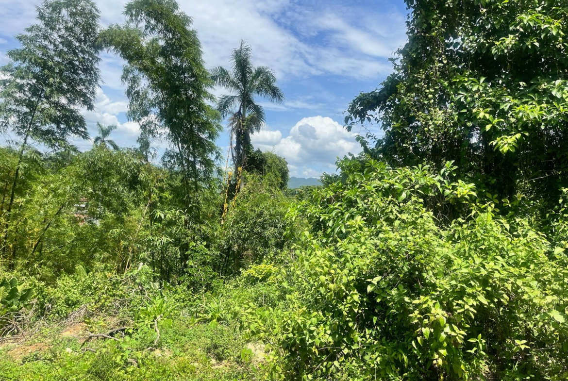 Fifth image of Lot 12 Authur Close in Bog Walk, St. Catherine, Jamaica - property is For Sale