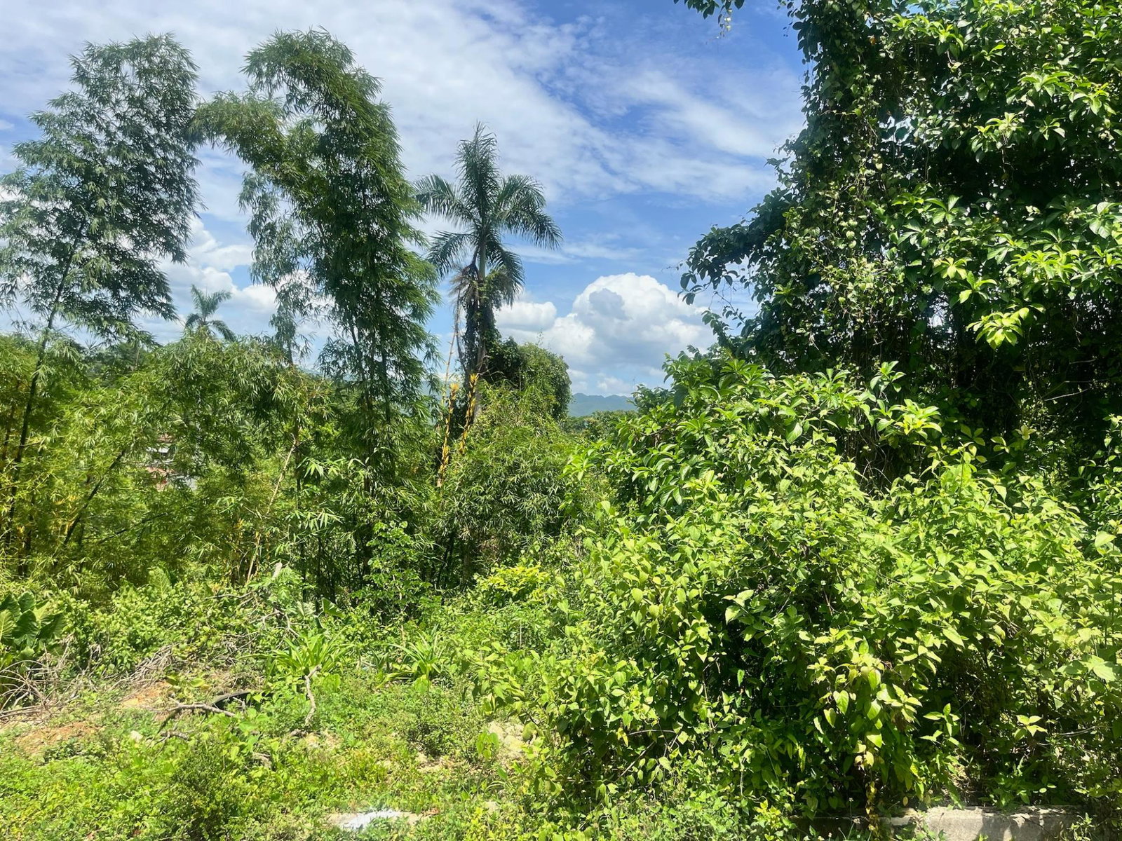 Lot-12-Shenton-Development-Prime-Residential-Lot-in-Bog-Walk-St.-Catherine Fifth image of Lot 12 Authur Close in Bog Walk, St. Catherine, Jamaica - property is For Sale