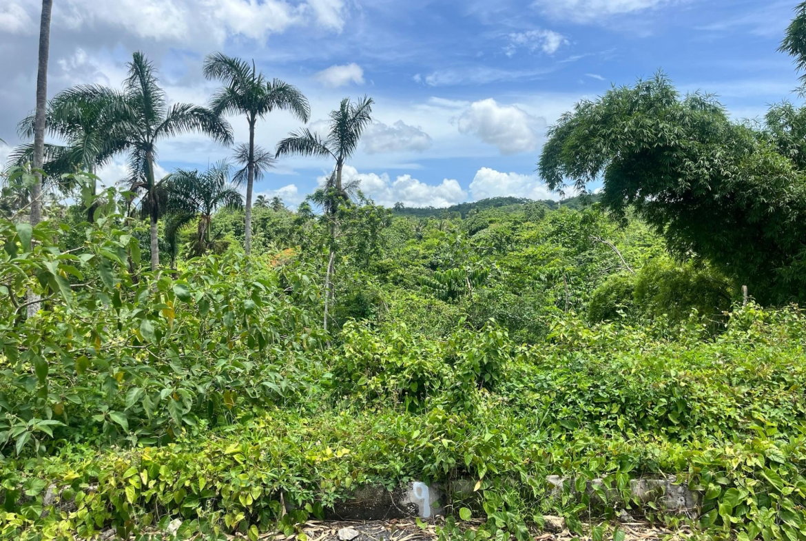 Sixth image of Lot 12 Authur Close in Bog Walk, St. Catherine, Jamaica - property is For Sale