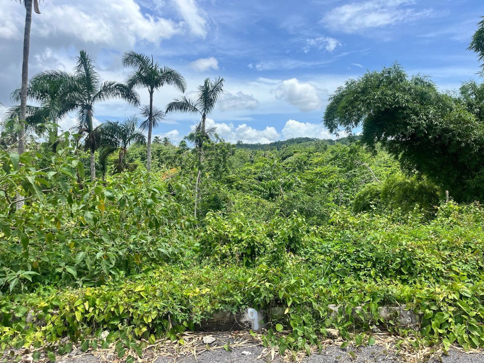 Lot-12-Shenton-Development-Prime-Residential-Lot-in-Bog-Walk-St.-Catherine Sixth image of Lot 12 Authur Close in Bog Walk, St. Catherine, Jamaica - property is For Sale