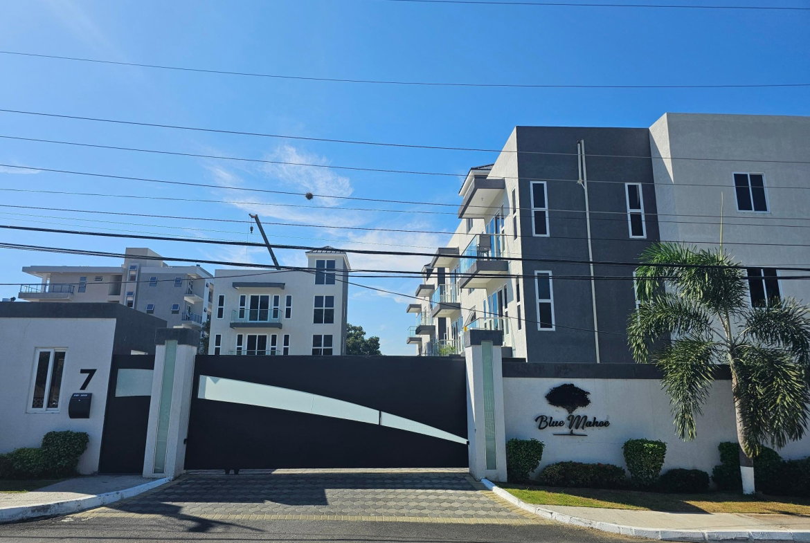 First image of 7 Halifax Avenue, Kingston in Kingston 6, St. Andrew, Jamaica - property is For Rent