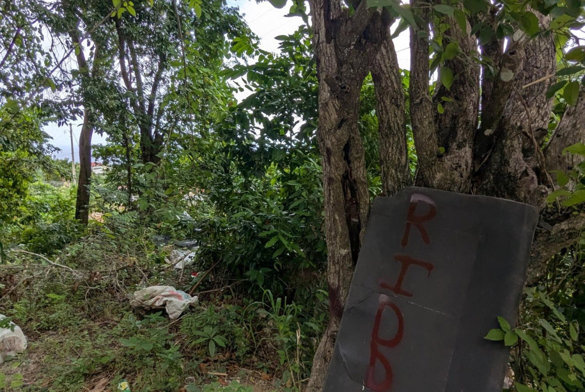 Fourteenth image of 126 Tripoli Drive in Runaway Bay, St. Ann, Jamaica - property is For Sale