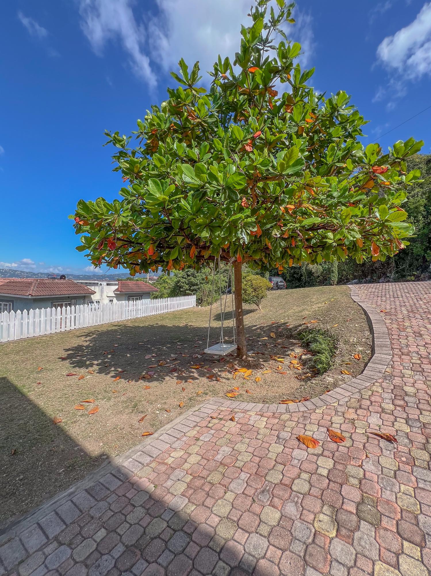 Thirteenth image of 23 Black Birch Way in Kingston 6, St. Andrew, Jamaica - property is For Rent