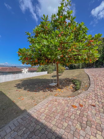 Thirteenth image of 23 Black Birch Way in Kingston 6, St. Andrew, Jamaica - property is For Rent