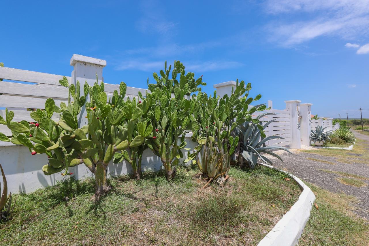 Seventh image of Treasure Beach, St. Eliza in Treasure Beach, St. Elizabeth, Jamaica - property is For Sale