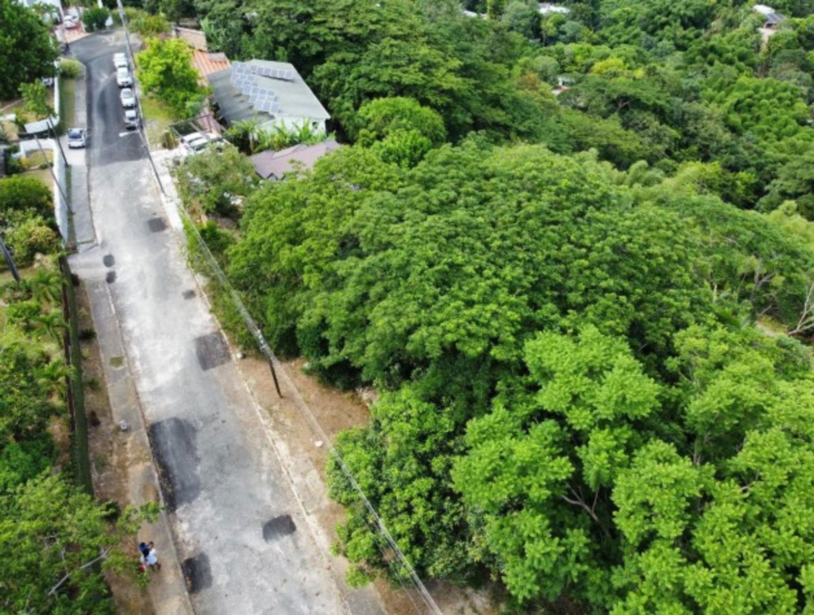 Second image of Lot 1- Mulberry Close, Maryland, in Jacks Hill, St. Andrew, Jamaica - property is For Sale