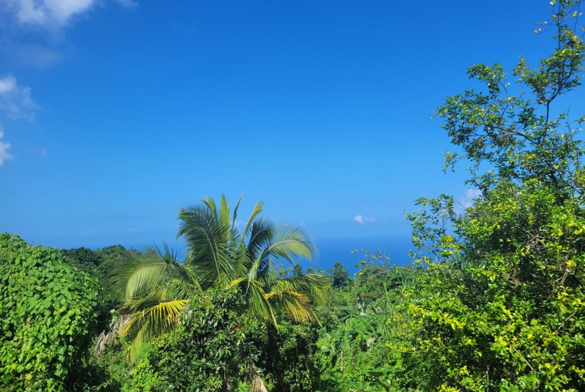 Third image of 3 Paradise & Elysium in Hope Bay, Portland, Jamaica - property is For Sale