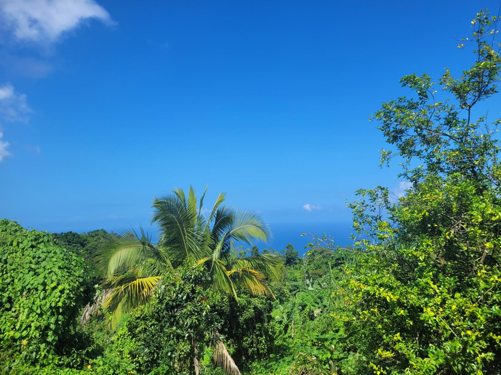 Third image of 3 Paradise & Elysium in Hope Bay, Portland, Jamaica - property is For Sale