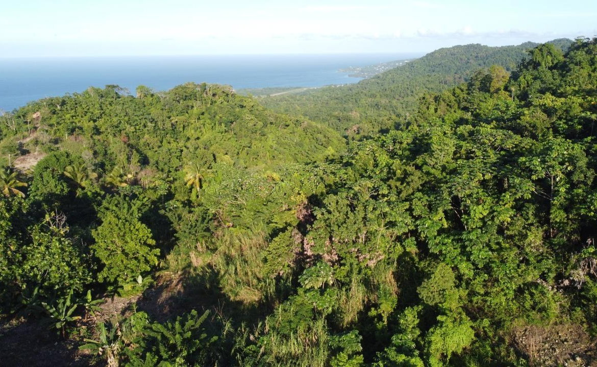 Ninth image of 3 Paradise & Elysium in Hope Bay, Portland, Jamaica - property is For Sale