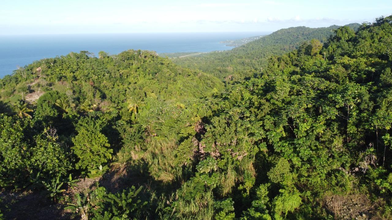 Ninth image of 3 Paradise & Elysium in Hope Bay, Portland, Jamaica - property is For Sale