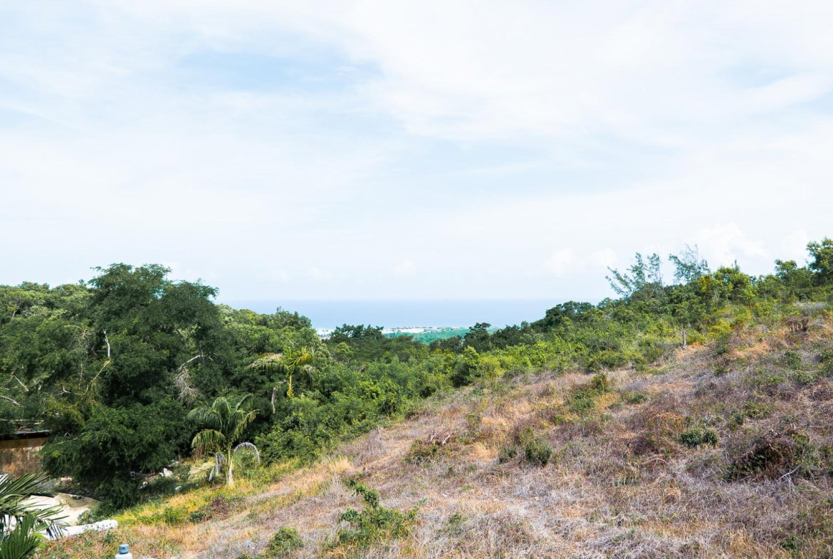 Twenty-Seventh image of 24 Whittingham Ave in Ironshore, St. James, Jamaica - property is For Sale