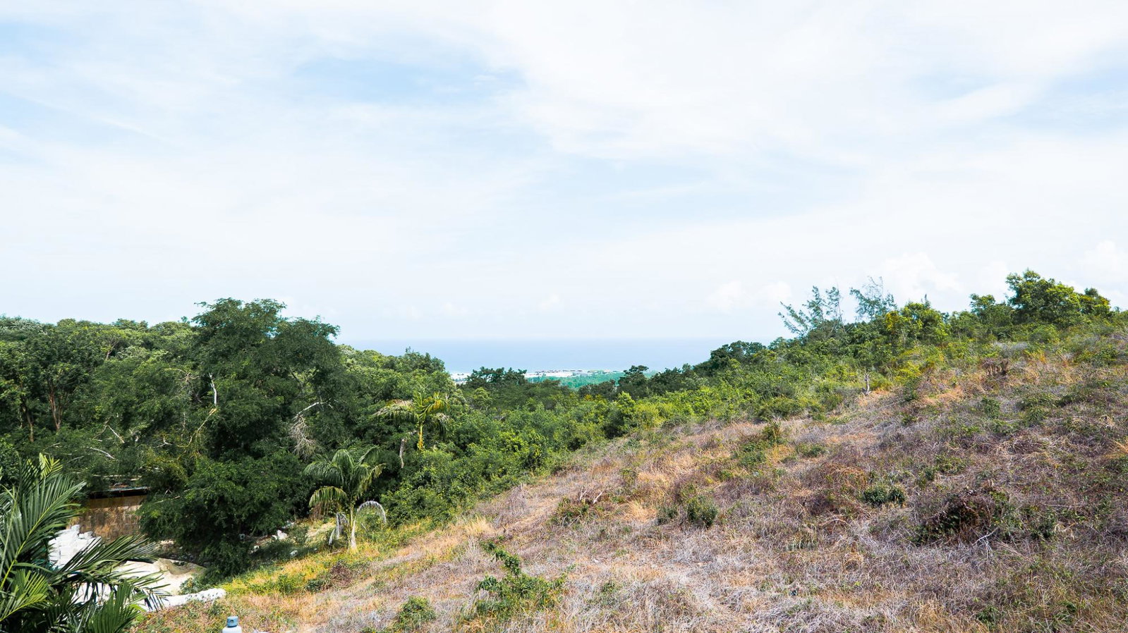 Twenty-Seventh image of 24 Whittingham Ave in Ironshore, St. James, Jamaica - property is For Sale