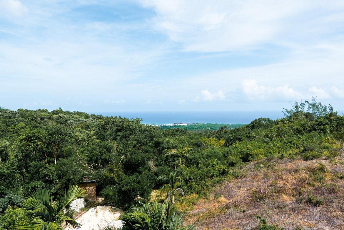 Thirtieth image of 24 Whittingham Ave in Ironshore, St. James, Jamaica - property is For Sale