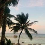 First image of A104- Palmyra in Montego Bay, St. James, Jamaica - property is For Sale